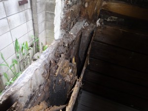湿気がたまる壁の中が朽ちてカビの温床に。表面に見えていなくても、傷みは進んでいます。